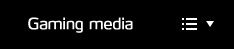 Gaming media